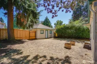 Back yard
