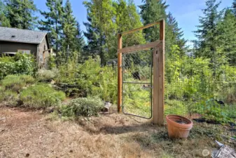 More garden