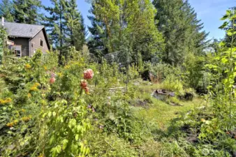 Pleanty of garden