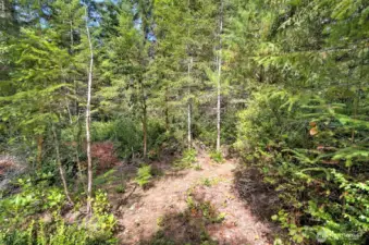 Trail