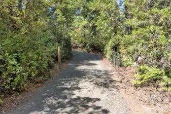 Driveway in