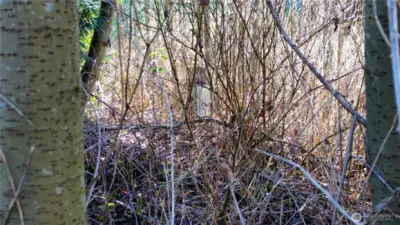 Power drop 3 and breaker box for ADU or detached garage.