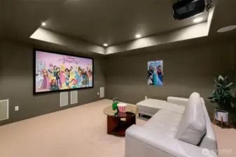 Theater at lower level