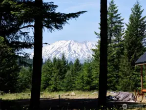 What a view! Mt. St. Helens
