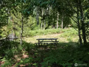 Picnic Area