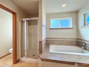 Primary bathroom