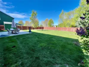 backyard with private access to neighborhood park!