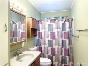 Full guest bathroom with built ins