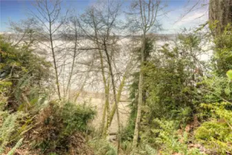 Photo of beach from top of path.