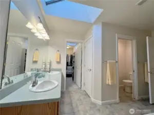 Primary bathroom with skylight.