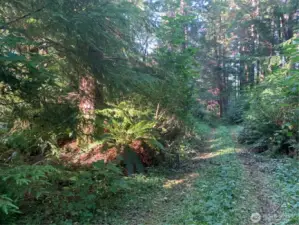 easement road to property