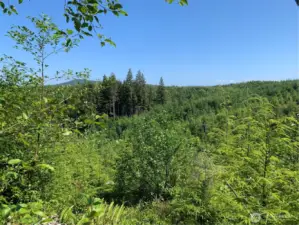 view from neighboring property