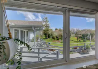 The view from the kitchen window looking into the fenced back yard and deck.