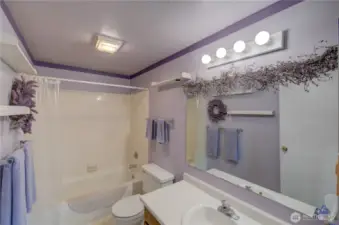 Main house bathroom #2