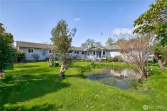 Fully fenced and landscaped back yard and small pond.