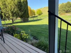 off to the backyard