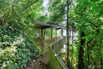 Like a tree fort path to the stairs leading to boat house and water.