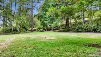 LArge front yard