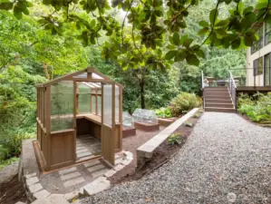 Grow your favorite herbs, veggies, and flowers in this awesome greenhouse. There's also blueberry bushes just below it!