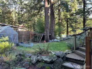 North side of the house.