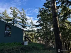 South side. Sloped, fenced yard.