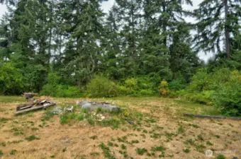 Looking out front door