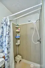 Master Bath Shower