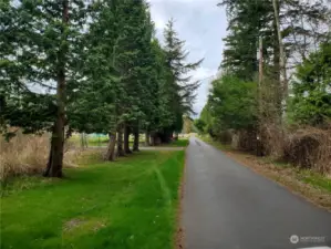 Beautiful Tree lined shared driveway. Property on the left.