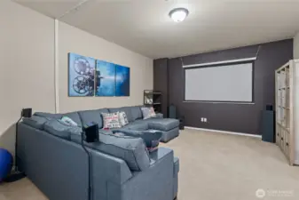 Lower level media room