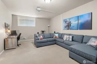 Lower level media room