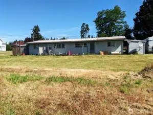 Spacious Back yards.