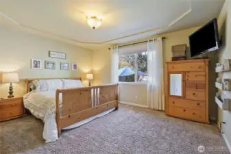 Primary Bedroom, tray ceiling, light and bright