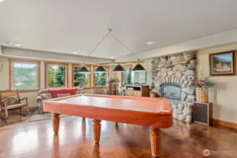 Downstairs Family Room