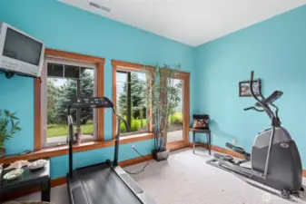 Downstairs Bedroom/Workout Room