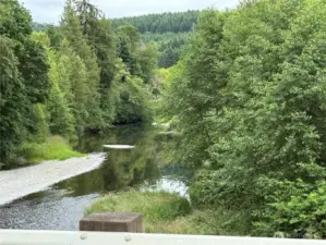 Chehalis River Nearby