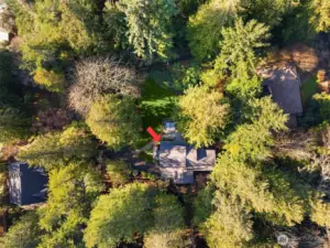 The home nestled in 33,000+ sqft of prime Lawtonwood in Magnolia