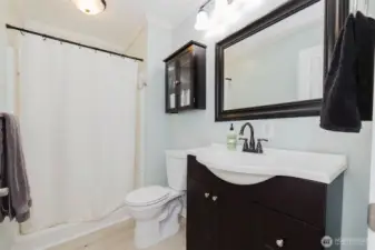 bathroom downstairs