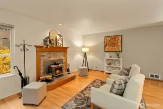 Another view of the family room with wood burning fireplace.