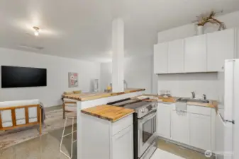 Converted 2 car garage space with kitchen...could be easily converted back to garage.