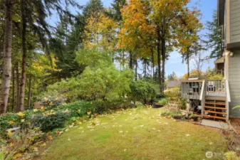 Just the beginning of the backyard.