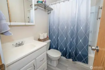 Full Guest Bathroom on the Lower Level.