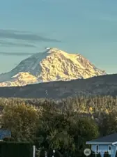 This picture was taken from the bonus room window.