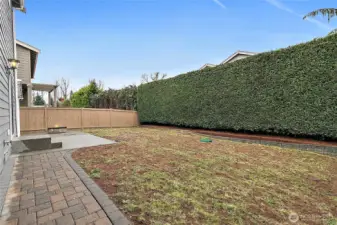 Backyard includes privacy trees for comfort.