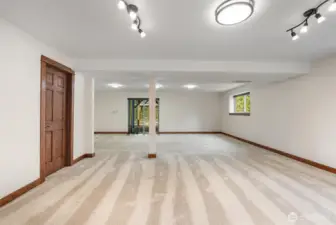 Versatile lower level ready to become your ideal living, media, or recreation space
