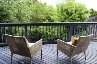 You can spend hours relaxing to the sights and sounds of nature here on the lower deck. Private and serene!