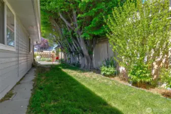 Lawn next to patio