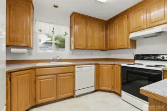 Oak cabinets and appliances
