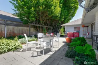 Patio view of rear fence and trees providing shade and privacy