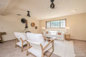 large space on lower level with room to flex.