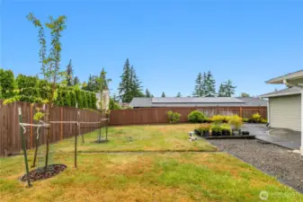 Beautifully bright spaces to place a garden or fruit trees
